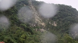 Raised Image